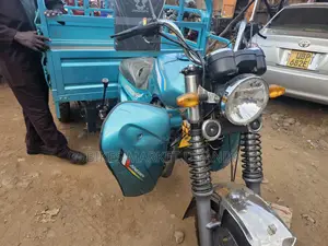 Tricycle Ihemas 2024 Gray