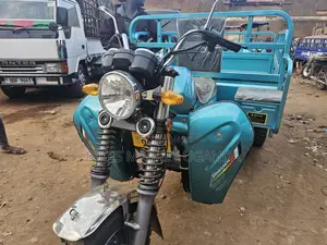 Tricycle Ihemas 2024 Gray