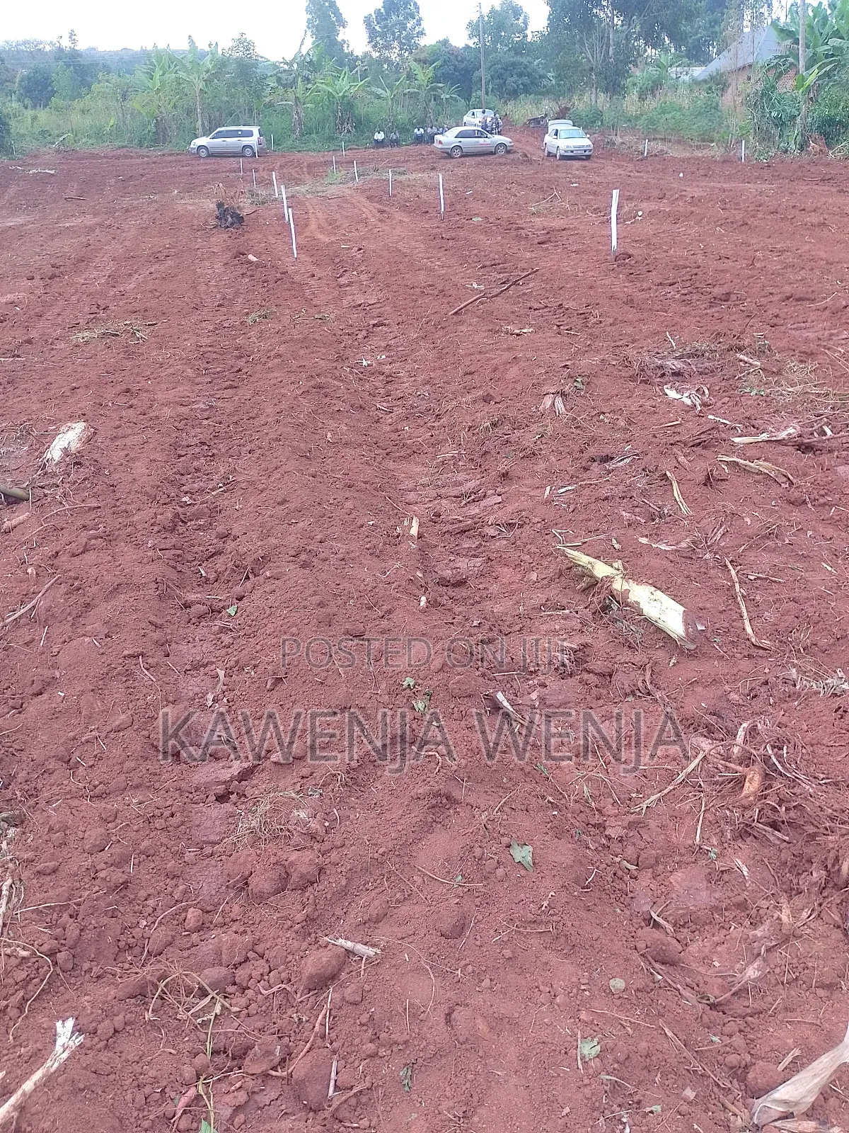 Cheap Plot Only 4m