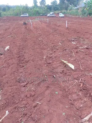 Cheap Plot Only 4m