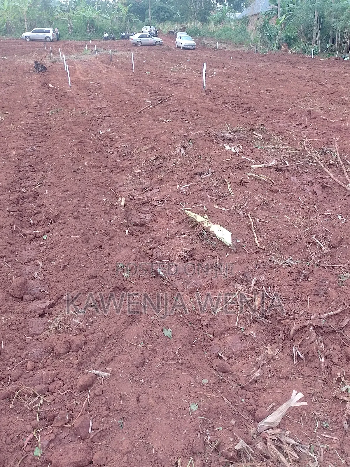 Cheap Plot Only 4m