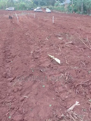 Cheap Plot Only 4m