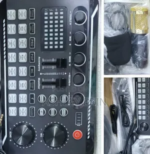V12 Microphone Condenser