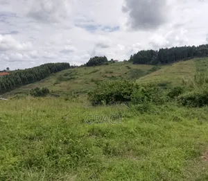 Land for Sell Titled