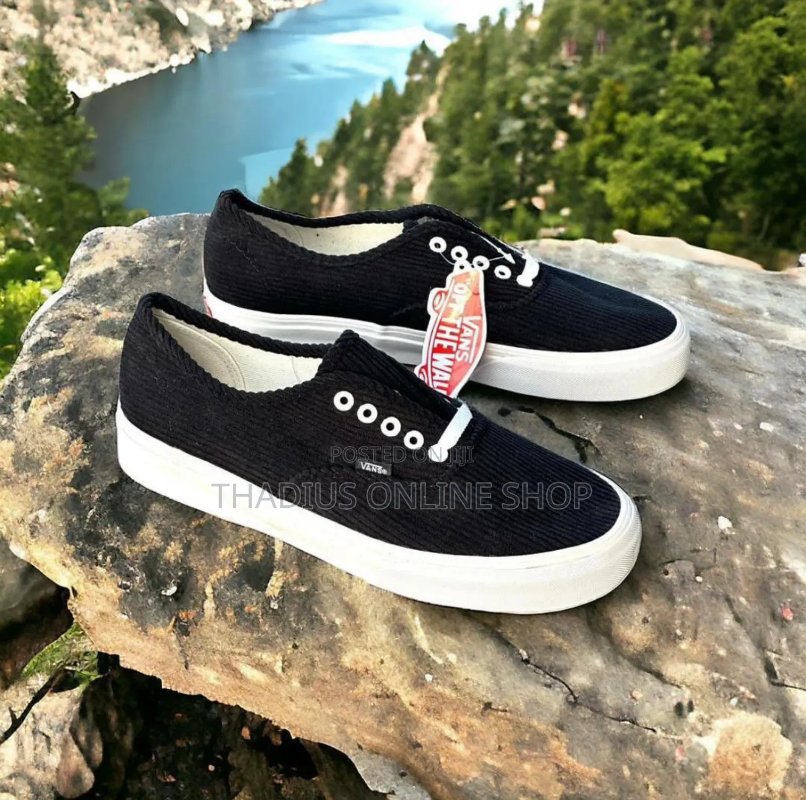 Classic Fashion Vanz
