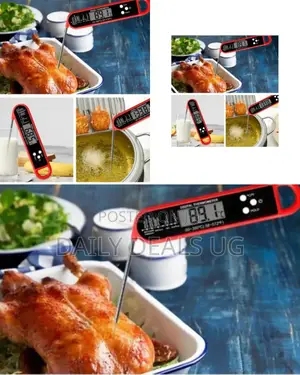 Food Thermometer