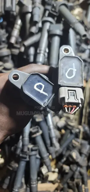 Vanguard Ignition Coils