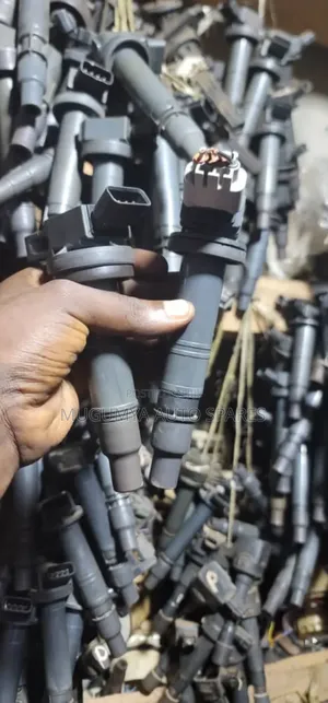 Vanguard Ignition Coils