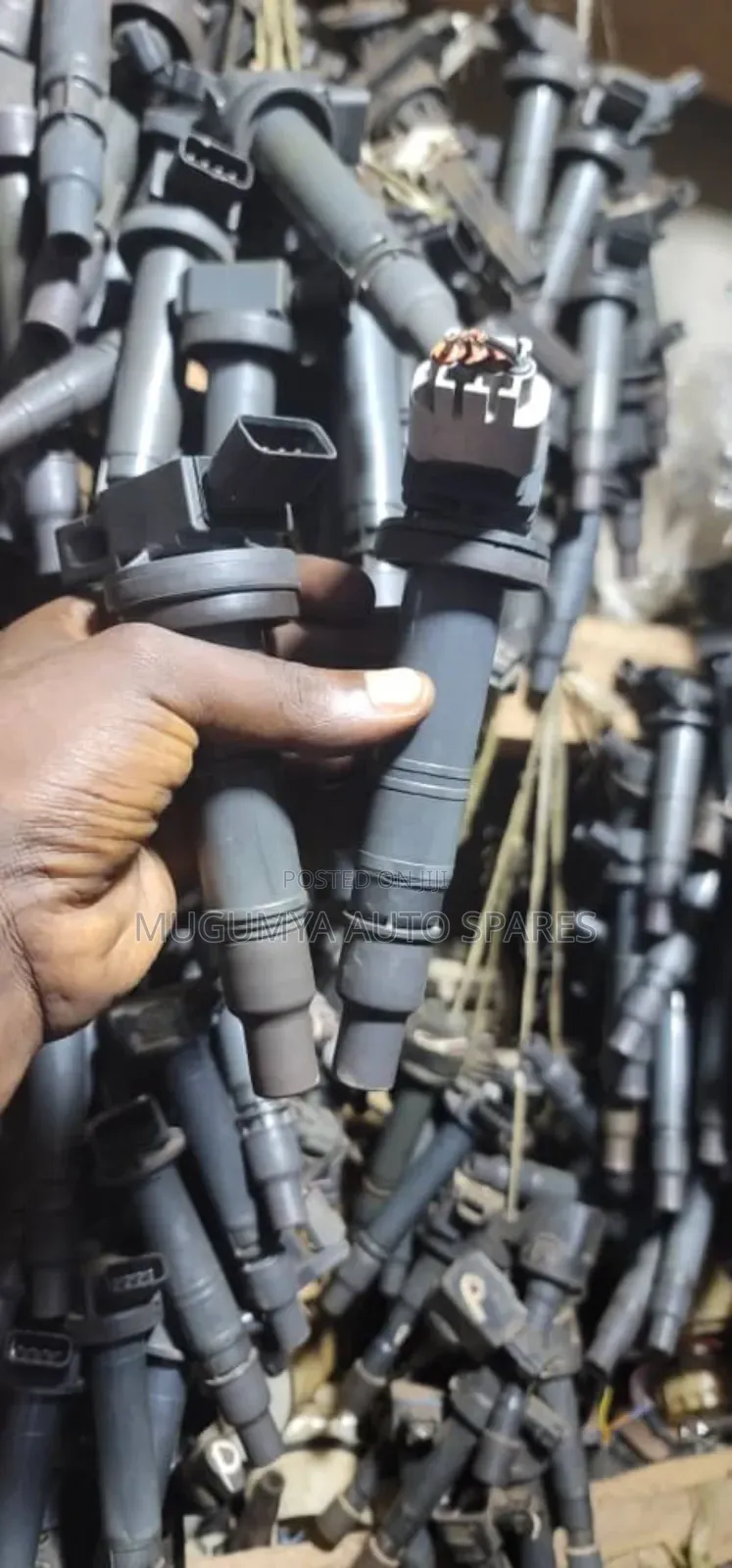 Vanguard Ignition Coils