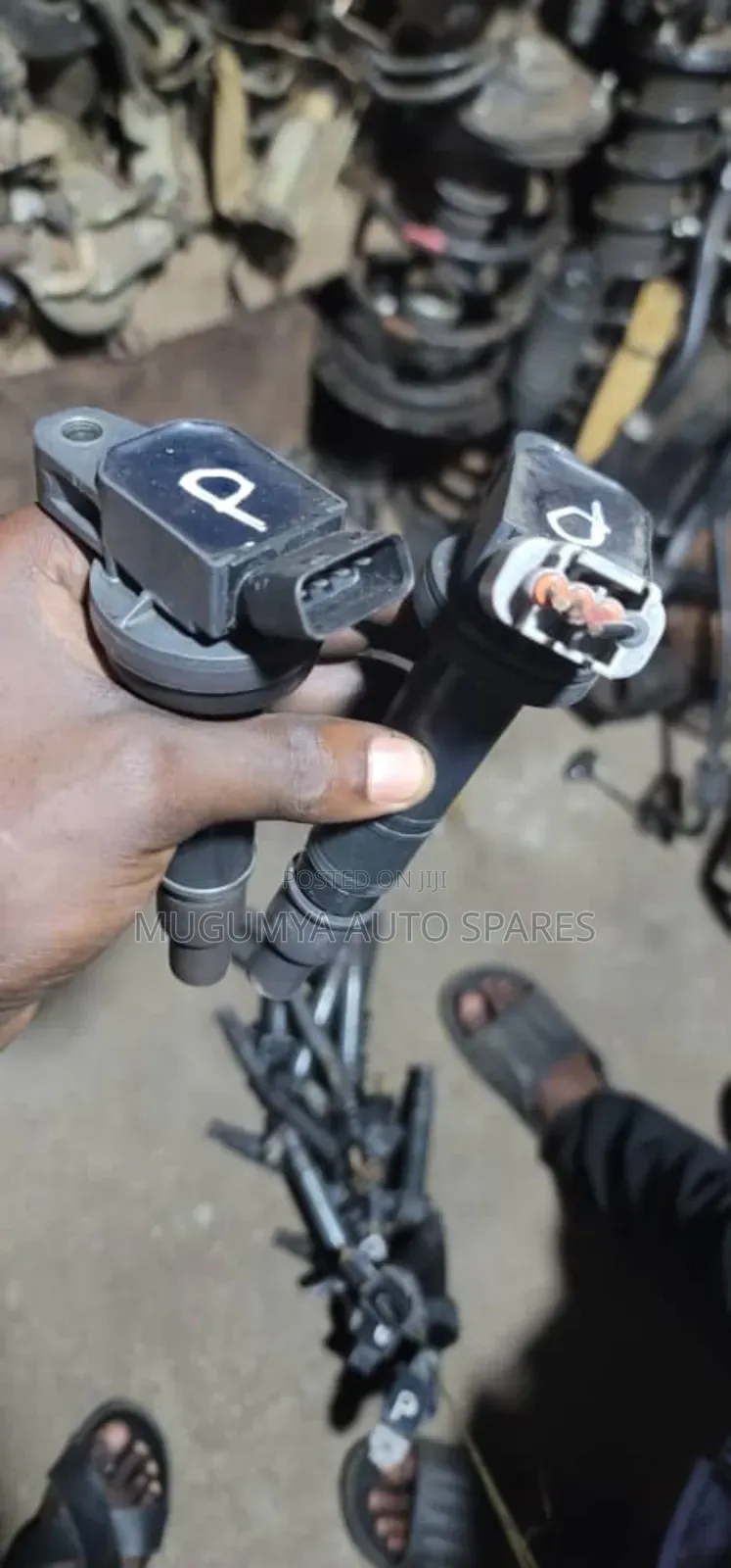 Vanguard Ignition Coils
