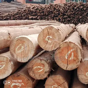 Poles for Roofing