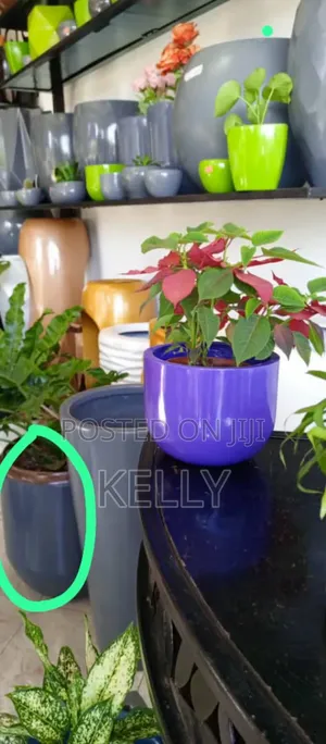 Fiberglass Flower Pots Available at Affordable Prices
