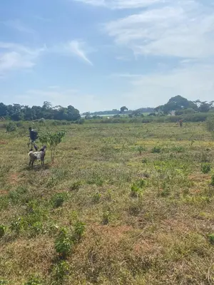50 by 100ft Land for Sale With a Lake View in Buwaya Sazi