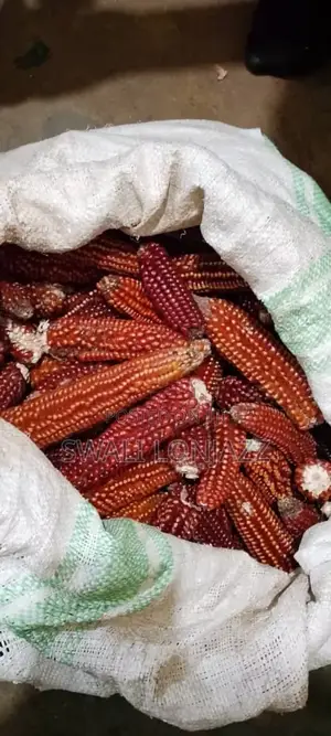 Popcorns Producers