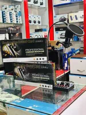 Bm800 Mic Professional Condenser Microphone
