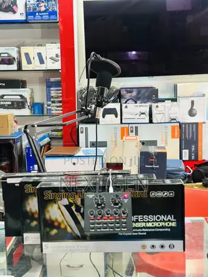 Bm800 Mic Professional Condenser Microphone