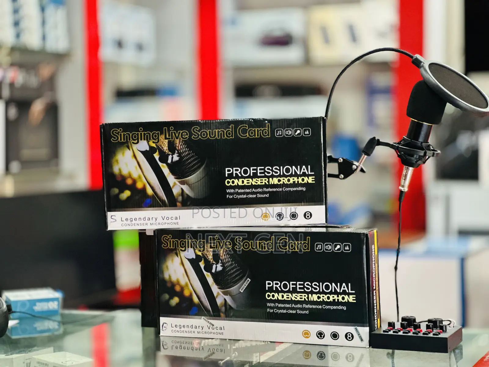 Bm800 Mic Professional Condenser Microphone