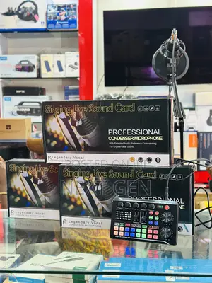 Professional Condenser Microphone-V9s