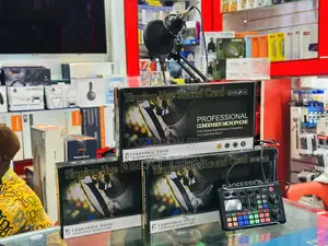 Professional Condenser Microphone-V9s