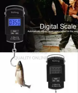 Kitchen Digital Scale