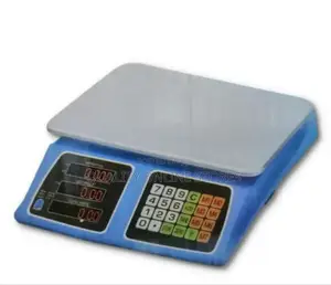 Electronic Digital Scale