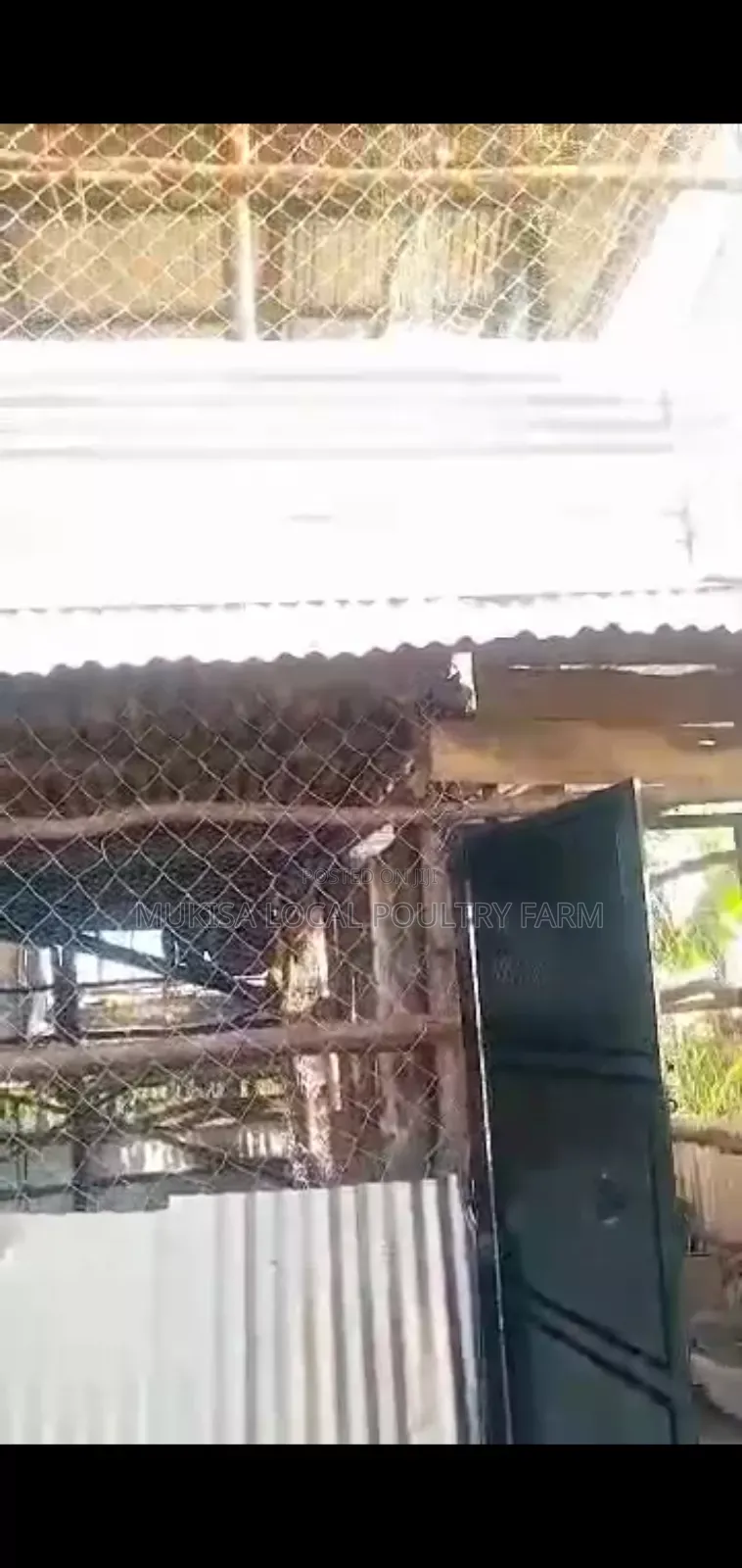 Poultry House Construction