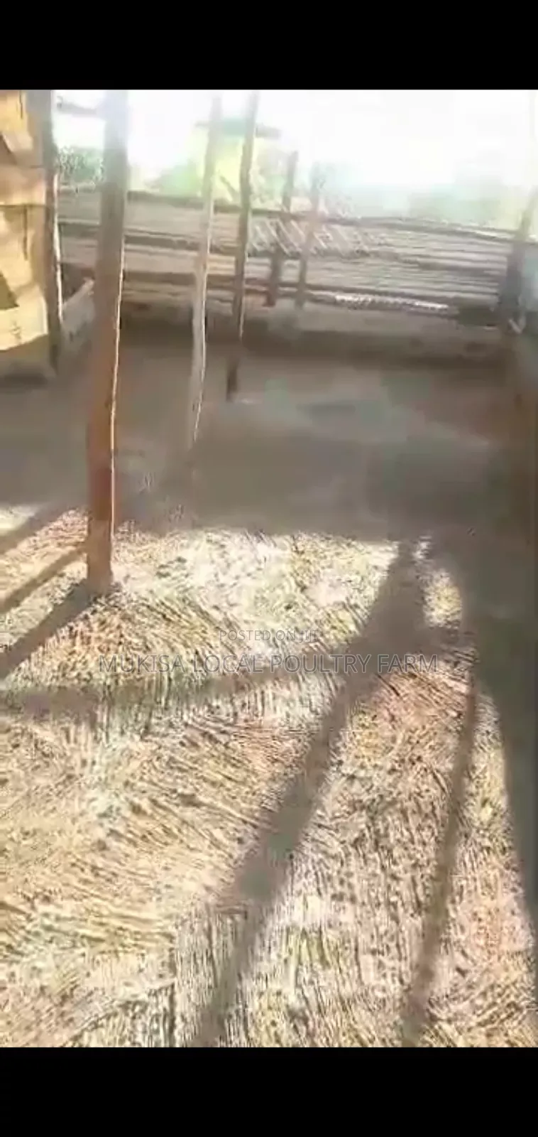 Poultry House Construction