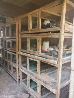 Poultry House Construction