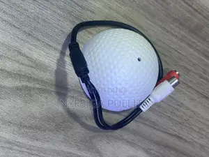 CCTV Mic’S
