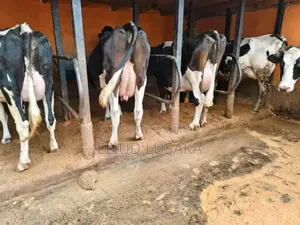 Farm Manager
