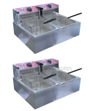 Electric Deep Fryer