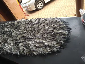 Musa Dash Board Cover