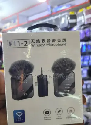 Mini Wireless Microphone