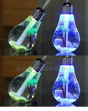 Rechargeable Humidifier Bulb