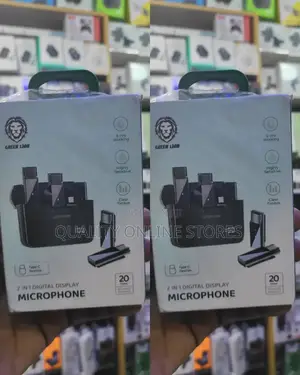 2 in 1 Wireless Microphone