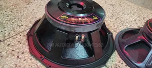 Big Magnet Bass Speaker 125 Coil 3000 Watts
