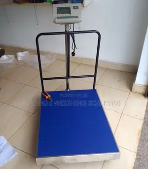 Electronic Digital Weighing Platform Scale A12e 500kg D=50g