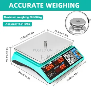 Electronic Pricing Scale