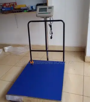 Heavy Duty Weigh Platform Balance Weigh Scale A12 500kg Weighing Scale