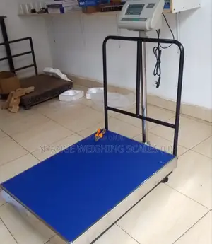 Industrial Digital Weigh Scale A12 500kg Weigh Digital Weighing Scale