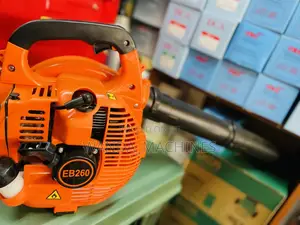 Gasoline Blower 2stroke Engine