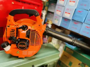 Gasoline Blower 2stroke Engine