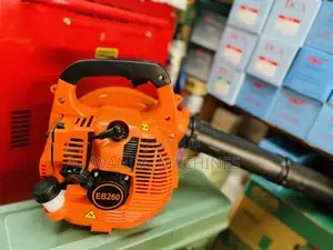 Gasoline Blower 2stroke Engine