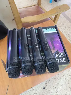 Professional Wireless Microphone