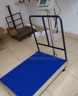 Electronic Platform Weigh Scale A12 500kg Weigh Digital Weighing Scale
