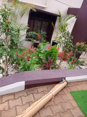 Multi Purpose Morden Grass Carpet Use