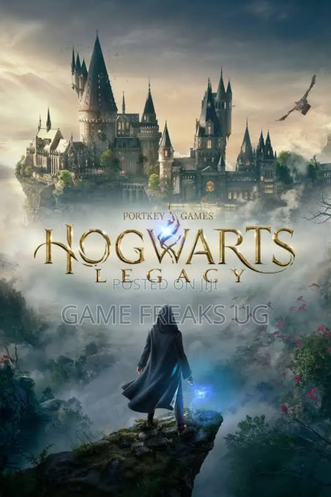 Hogwarts Legacy Pc