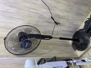 Black Standing Fan