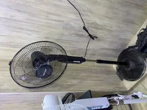 Black Standing Fan