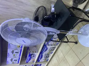 Black Classic Fan